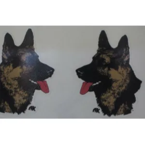 Decals