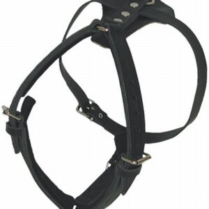 Leather Harness