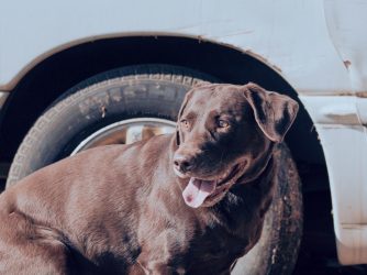 Processed with VSCO with g5 preset