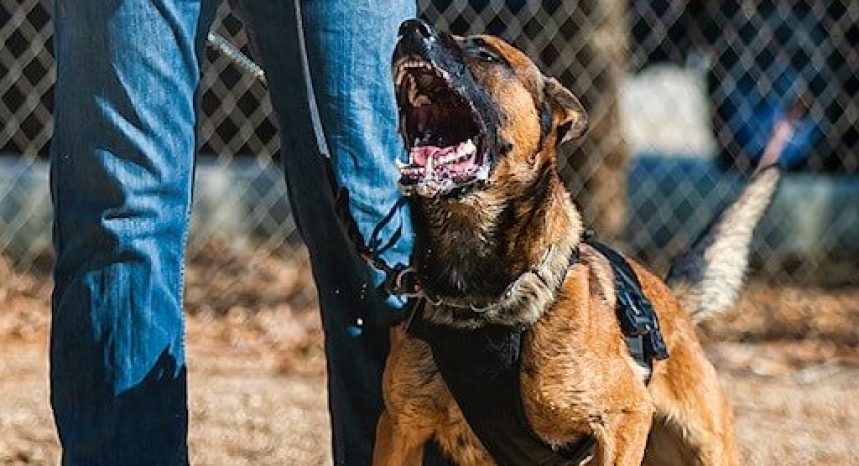 testing-and-training-for-proper-defense-aggression